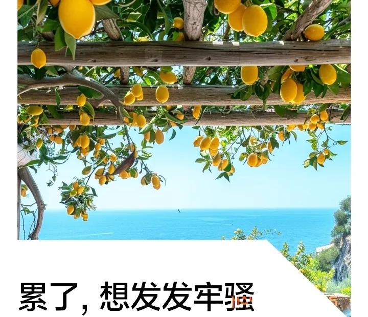 现如今，退休老人“满街筒”，有人说我们是一帮“粮食搭子”，没几个省油灯。聚一起没