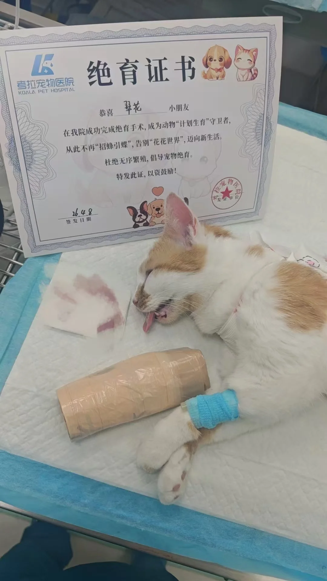 人，垃圾袋好用吗？咪的QQ换的