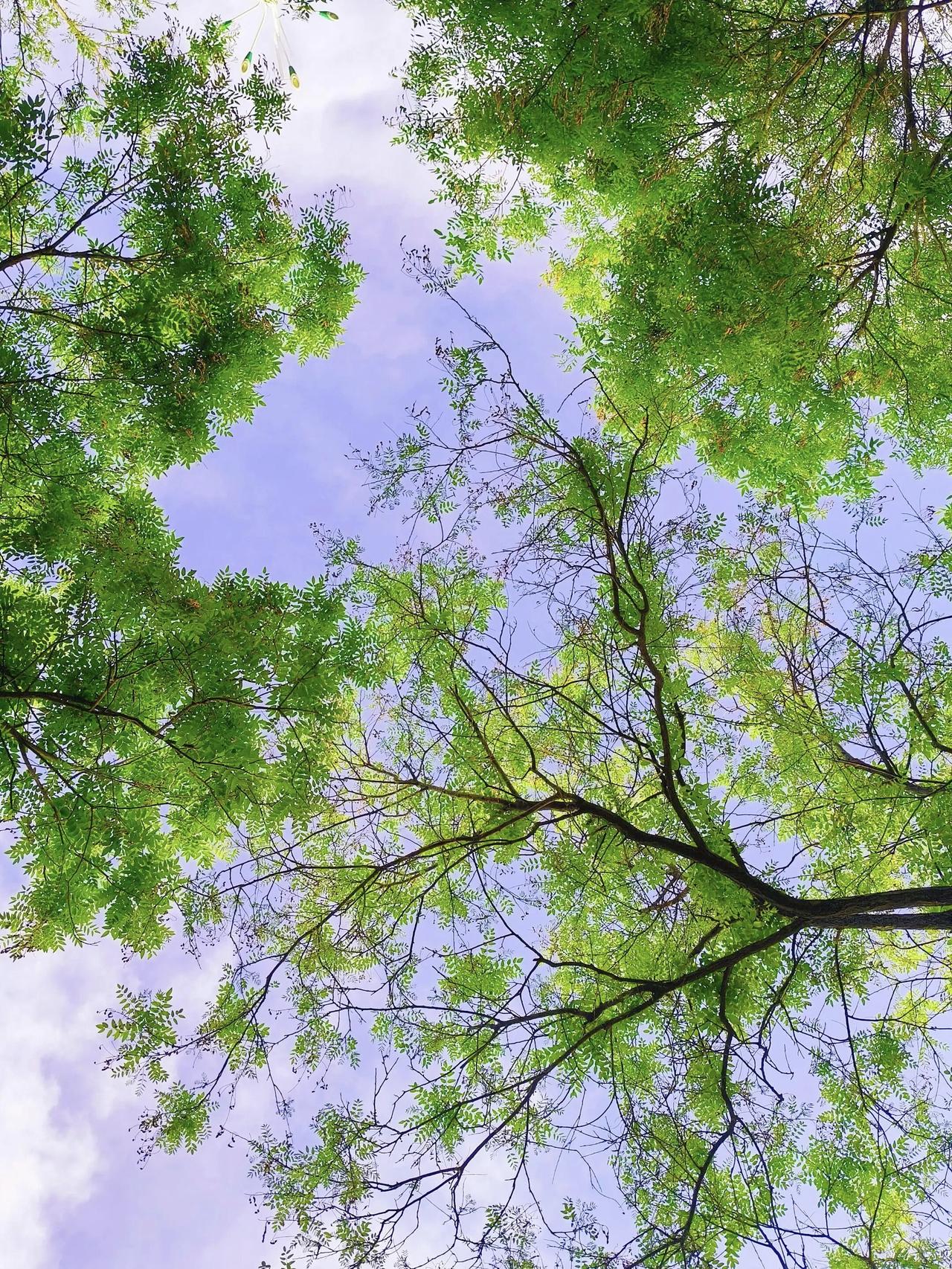 跟天蝎座分手以后，最后是不是都想回头天蝎分手太体面，他们从来不说你不好，他们