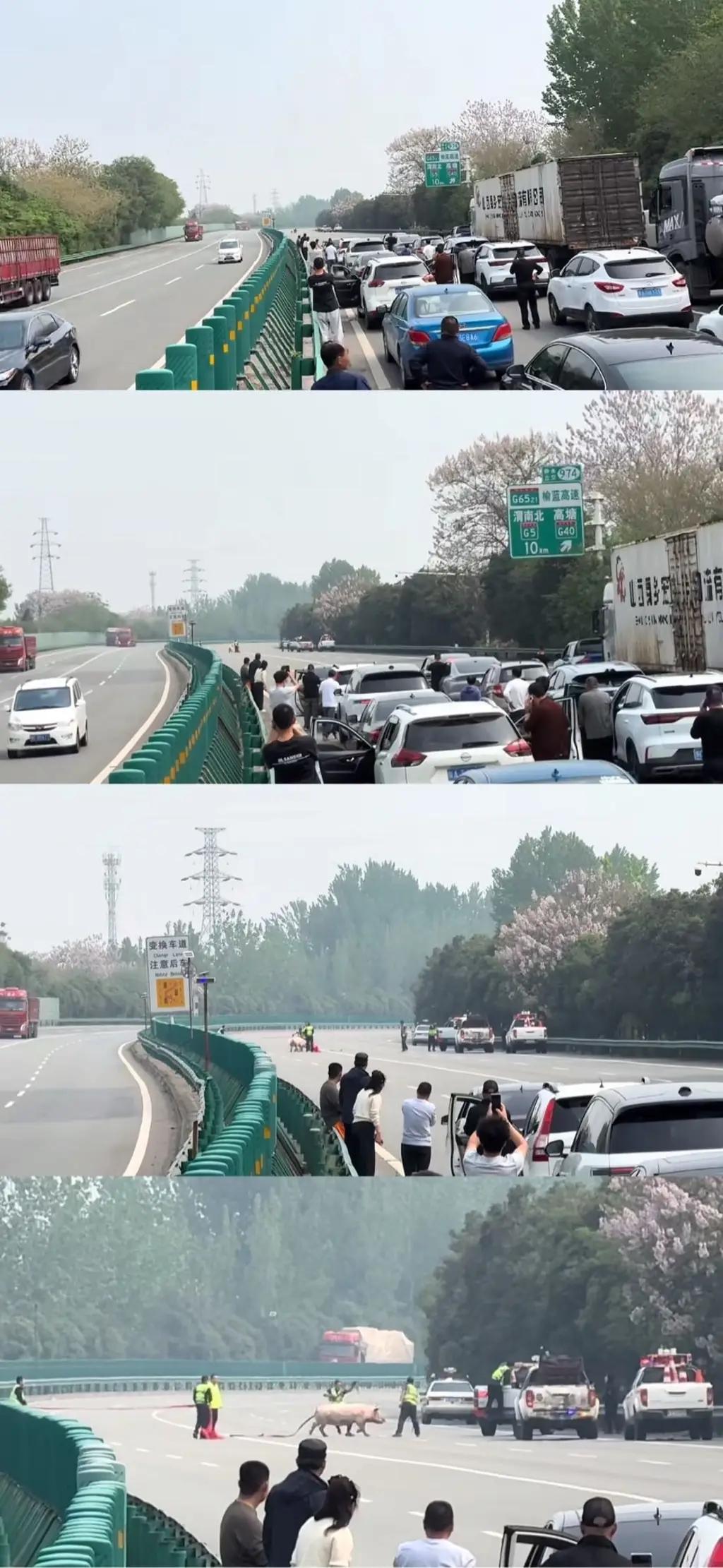 你永远不知道堵车的尽头是因为什么[抠鼻][抠鼻][抠鼻]