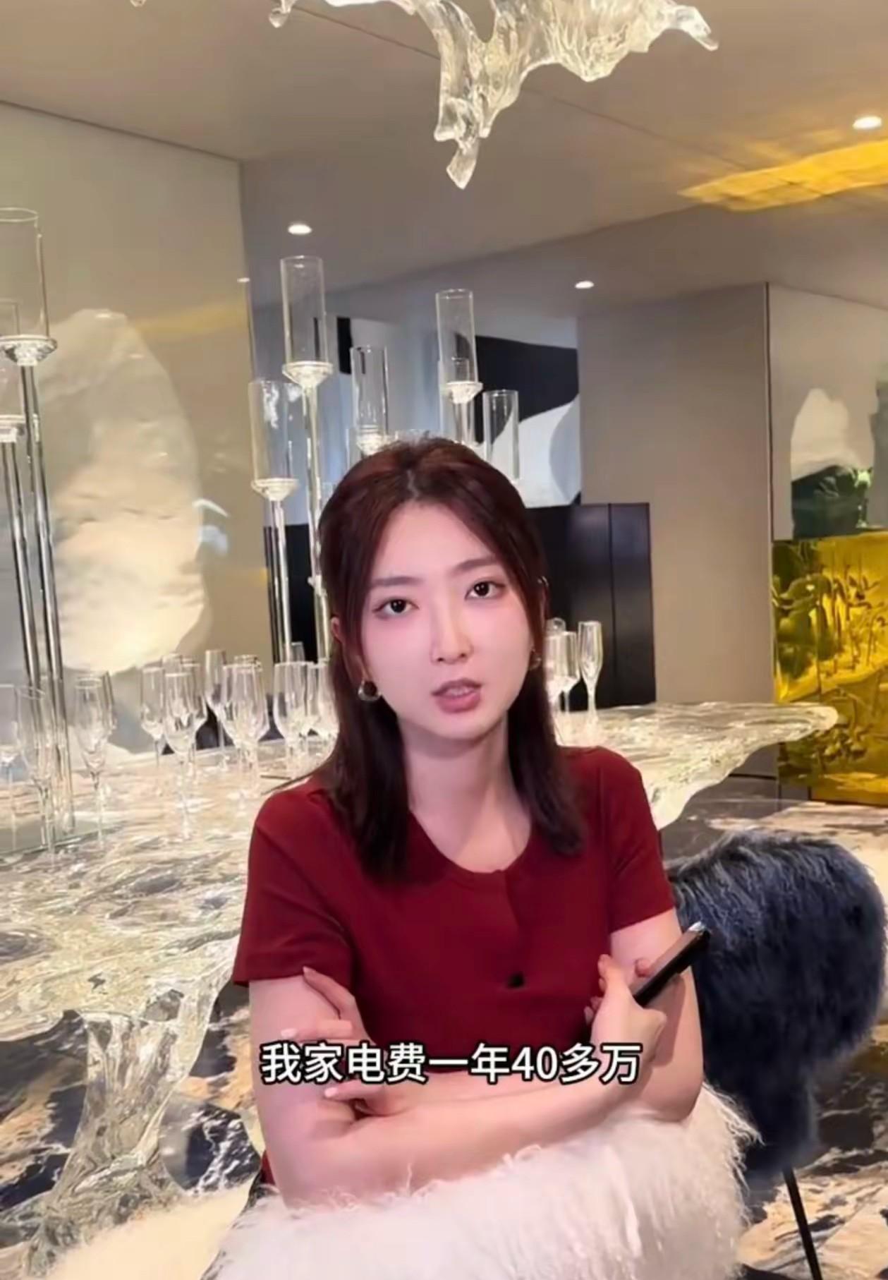 杭州千平豪宅电表转出火星子了！女主播自曝一年光空调就烧掉20万电费，家里墙上挂