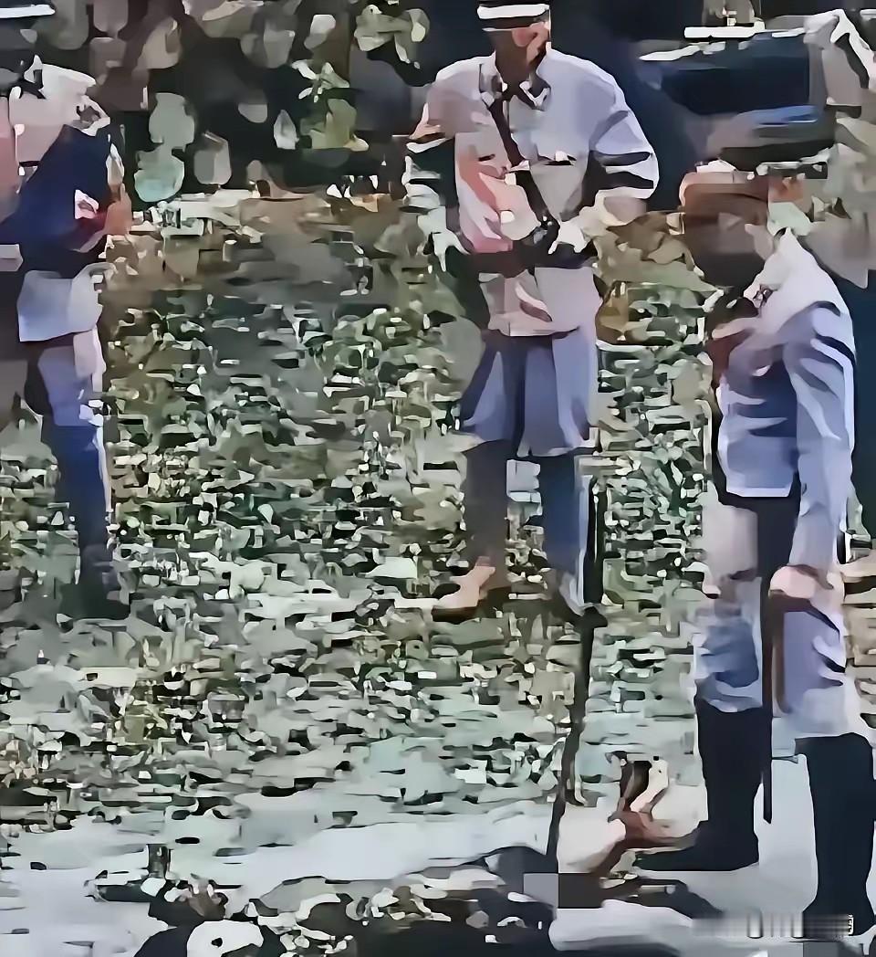 1937年，日军占领南京，发动南京大屠杀。一名身姿高挑、容貌清秀的女大学生，被三