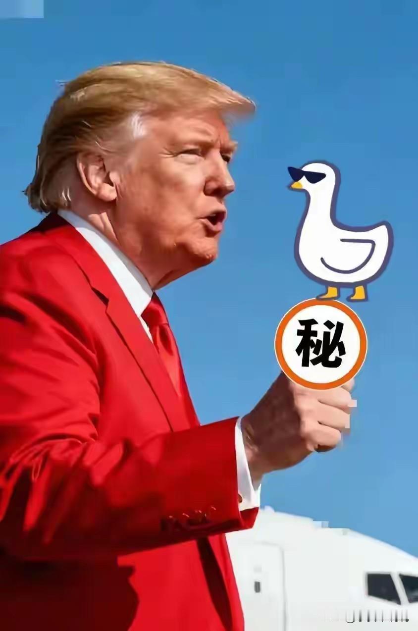 刷到最高院直播，我差点把咖啡喷屏幕上。巴雷特大美人一句“哪条条文写了能随便加税”