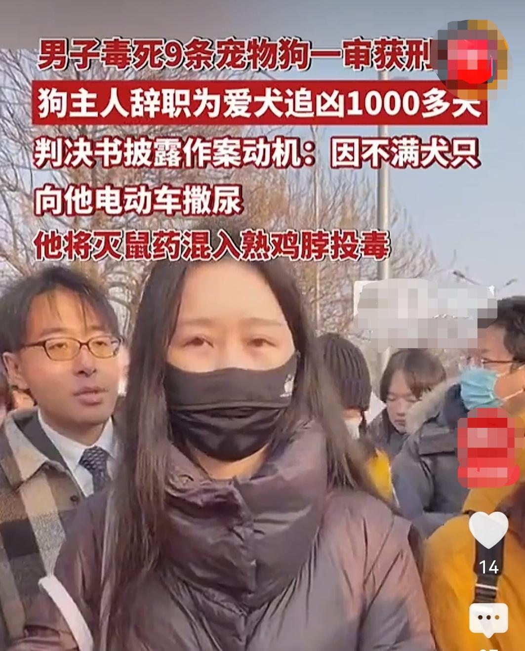 不惜用犯罪的方式来毒狗，可见忍到了什么程度。一次投毒就有11条狗中招，可见狗密