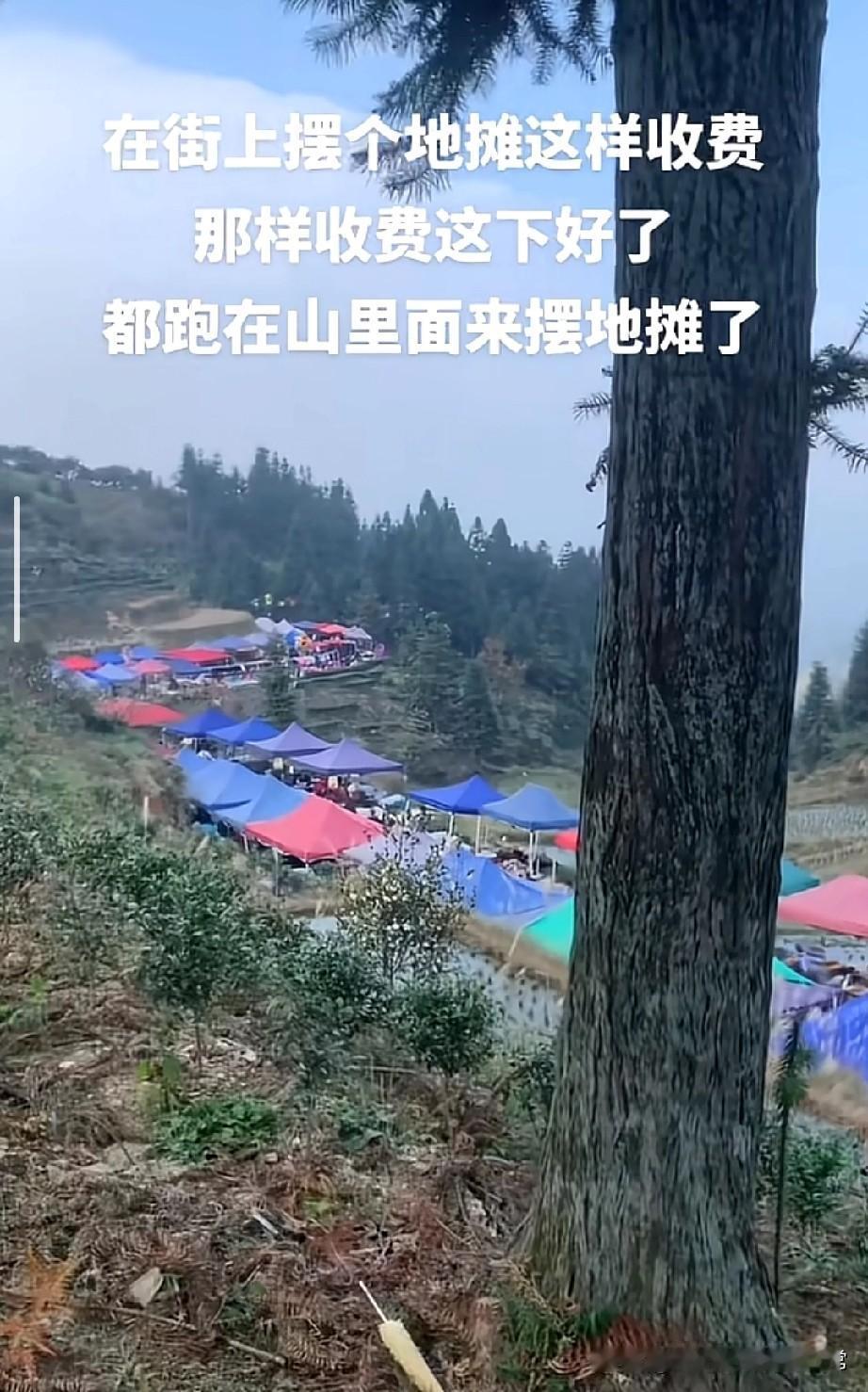 摊贩被逼进深山摆摊！没收费没城管这画面直接破防了！原本在街头摆摊的小贩们，