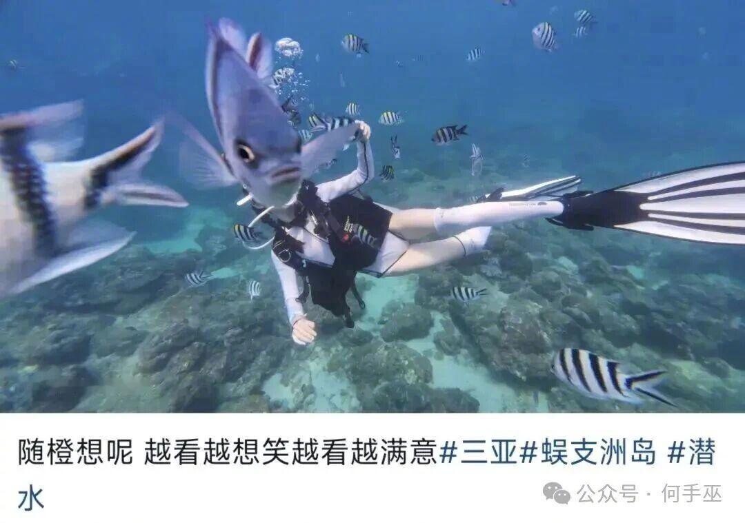 自己花钱反倒给一条鱼拍出了鱼生照片