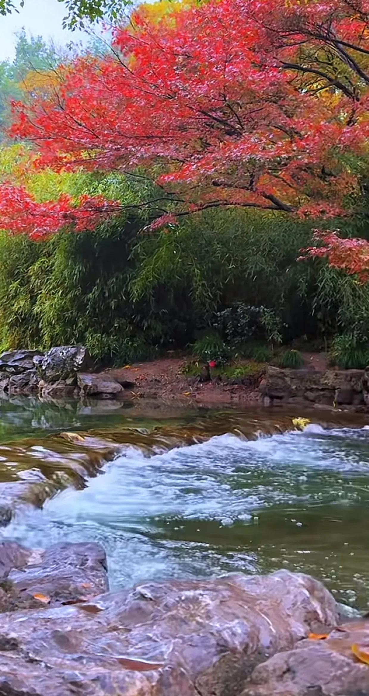 初冬的太子湾，宁静而神秘。湖面结冰如镜，山峦苍翠欲滴，尽显冬日之美。漫步在这片山