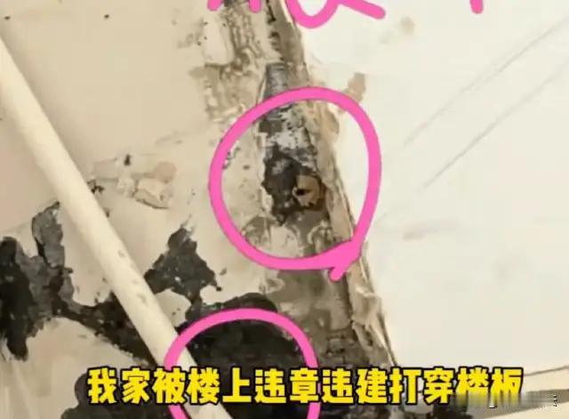 江苏江阴，长江御园小区的陈女士和丈夫满怀期待地买下了5楼的新房，经过精心装修后，