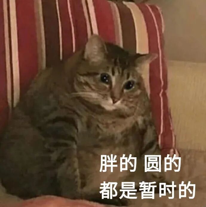 你最喜欢的动物是什么​​​