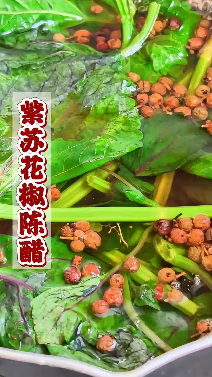 紫苏、花椒、陈醋。注意看，这就是全国各地都在找的紫苏。如果您的邻居还种着，请一