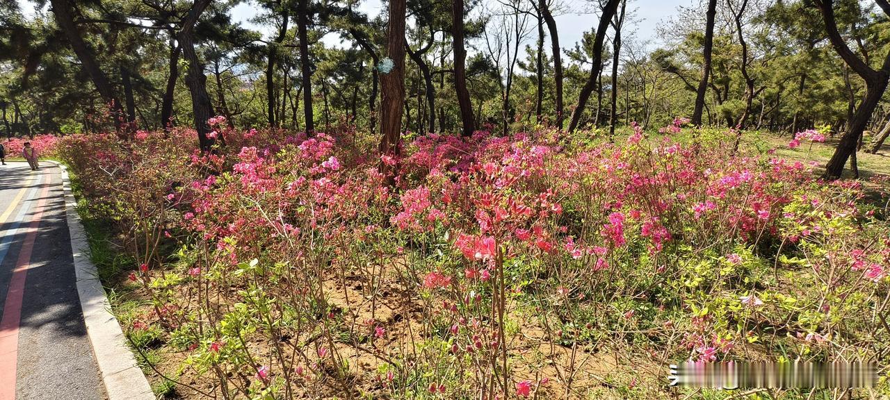 别信“领导不该发脾气”那套鬼话了，不发脾气的老好人连条狗都镇不住今天翻到一本
