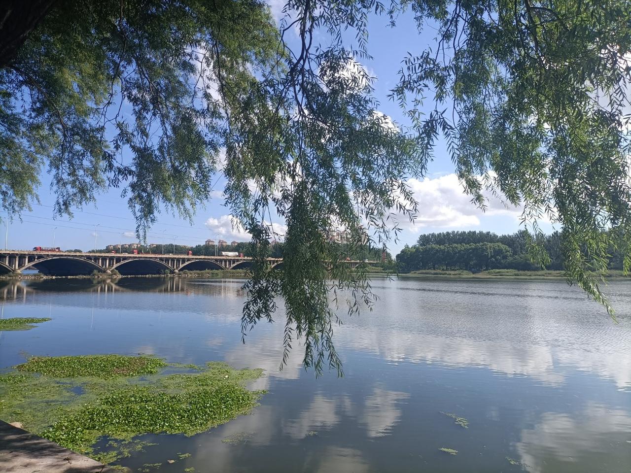 房贷还有必要再还吗？我生活在胶东沿海的小城，很多人喜欢去附近的开发区买第二套