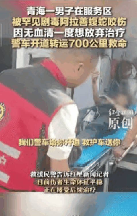 辗转700公里，寻觅蛇毒药，幸亏没有放弃！青海，一位40岁的男子，在阿拉善服务区
