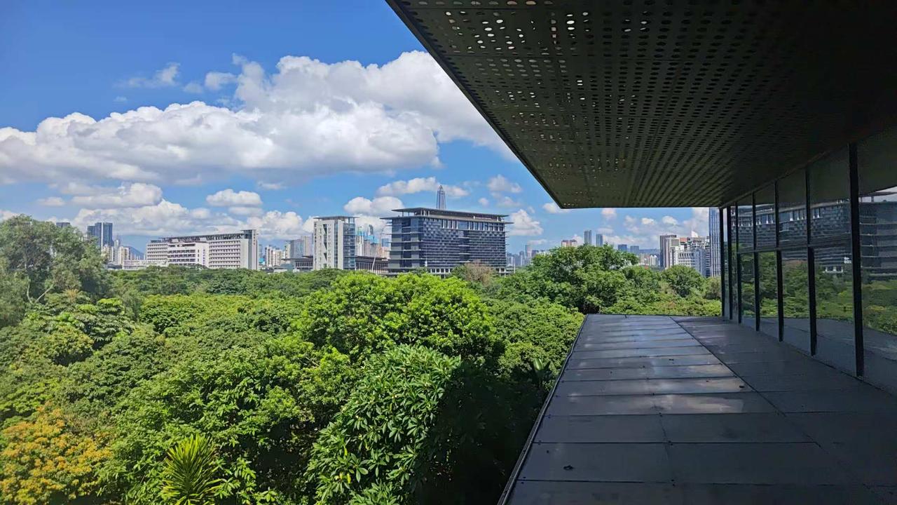 深圳是中国著名的公园之城，有1200多个市政公园，其中有些公园的景观真的和星级景