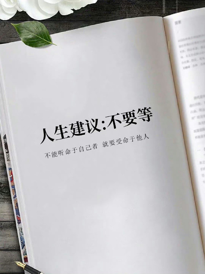 人生建议:不要等