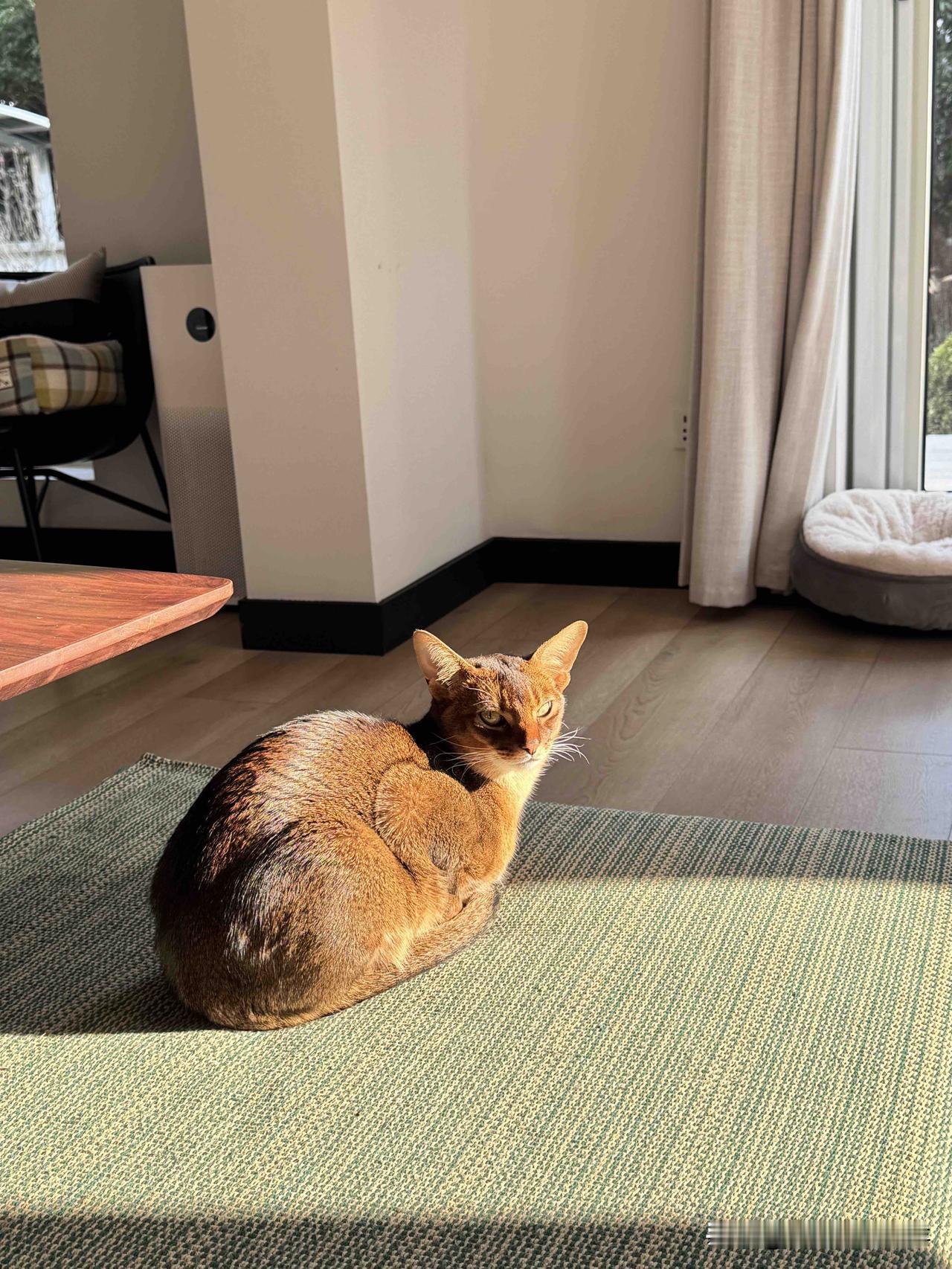 今年过年，学会了“打掼蛋”，我的爱好列表里，又添加一个新成员。原是别人三缺一