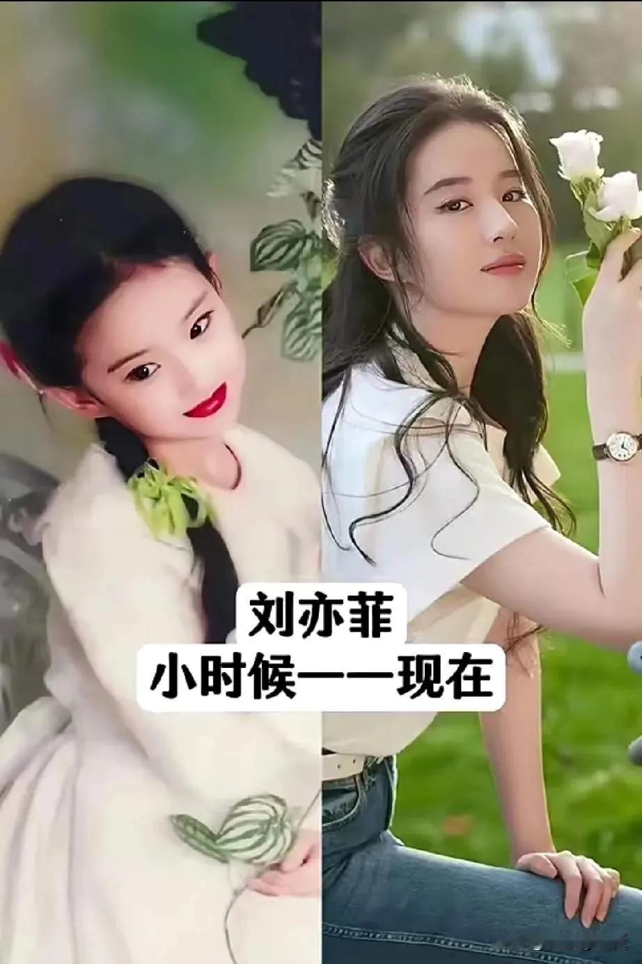 刘亦菲、杨颖、景甜、古力娜扎、白鹿、虞书欣，六位女星童年照曝光，从小美到大的秘密