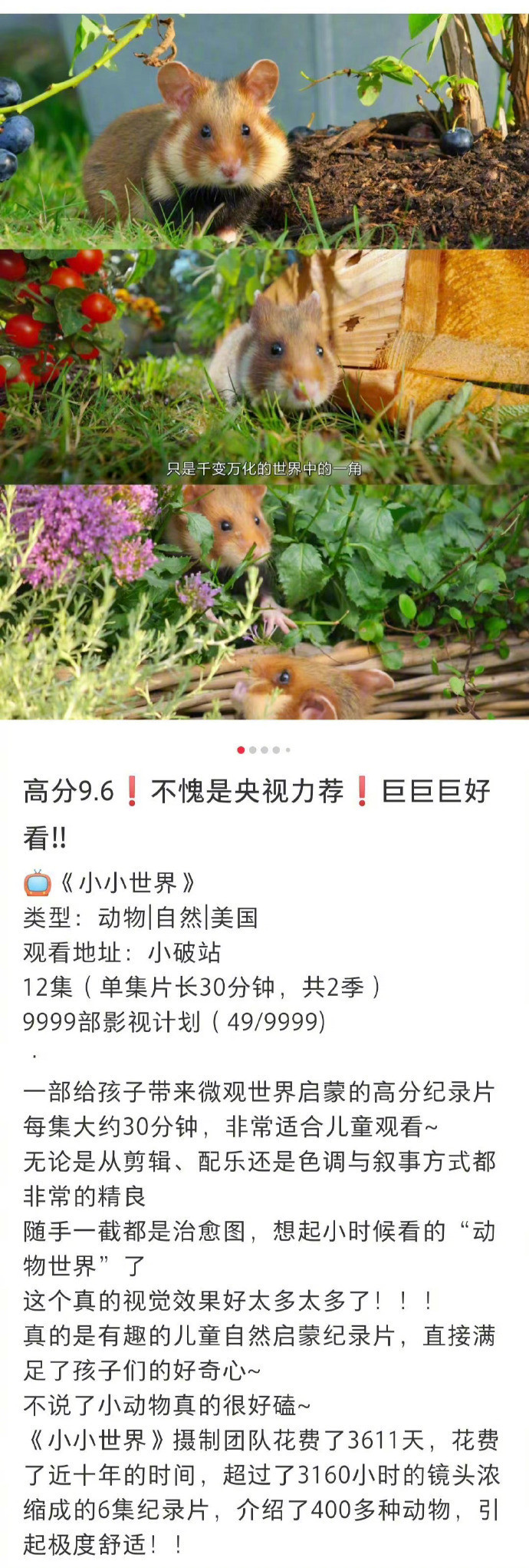 怎么会有比电视剧还要精彩的纪录片啊啊啊！！