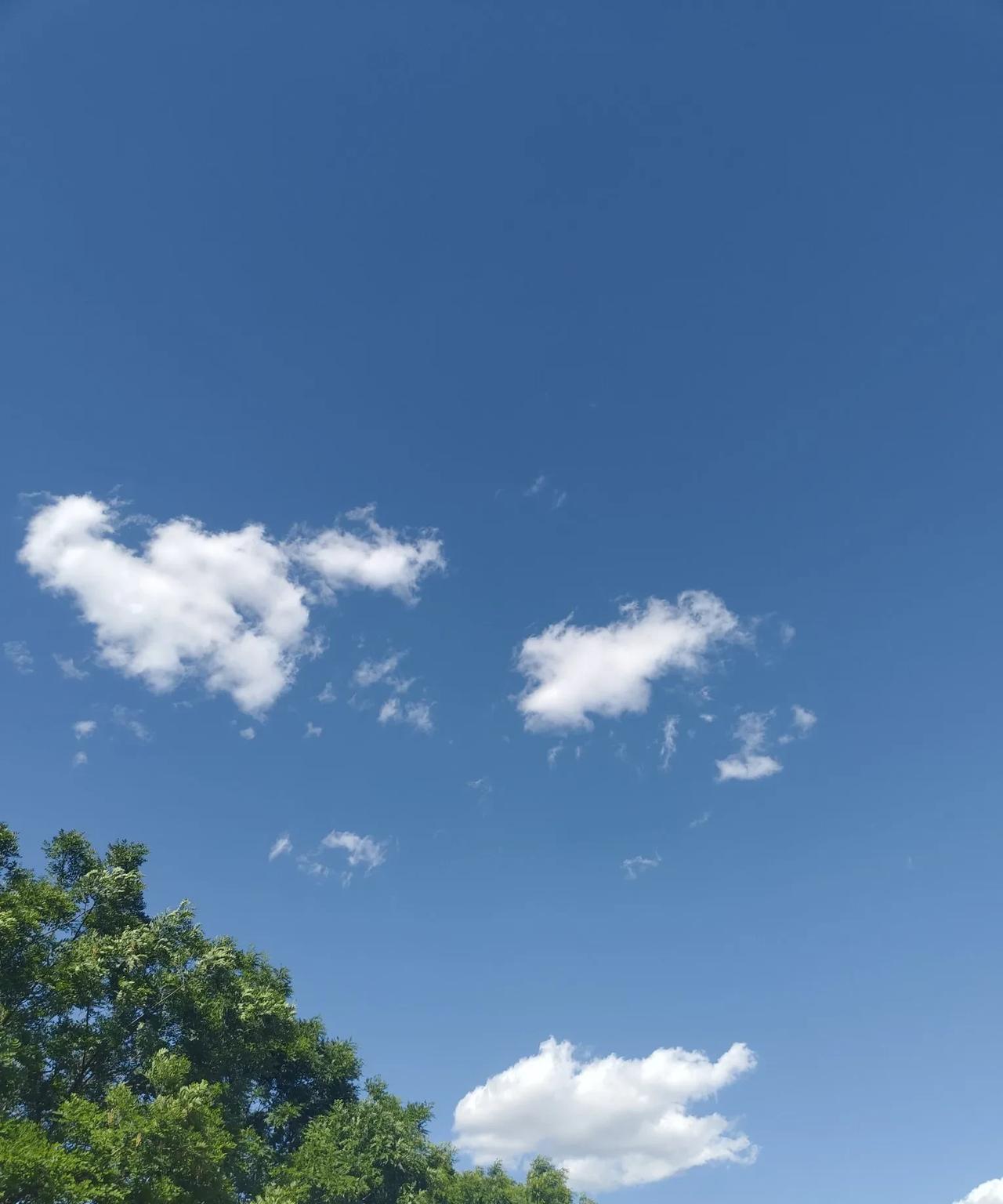 三哥给我视频，和5个朋友喝酒，干倒了7瓶，没有停的意思。这又想不醉不休了。其