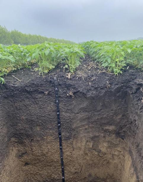 曾经砖家反对焚烧秸秆，如今日本人也用中国的技术！日本缺少土地，靠火煨稻壳自制“人