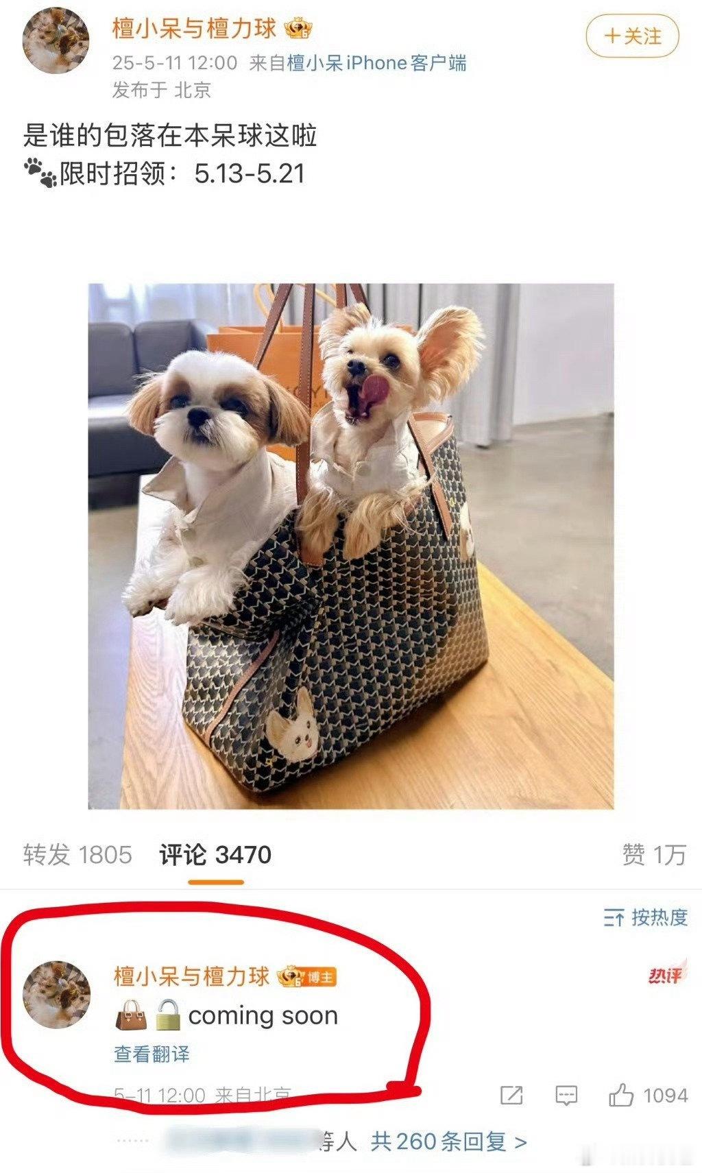 牛掰！檀健次的狗狗都有代言了！​​​