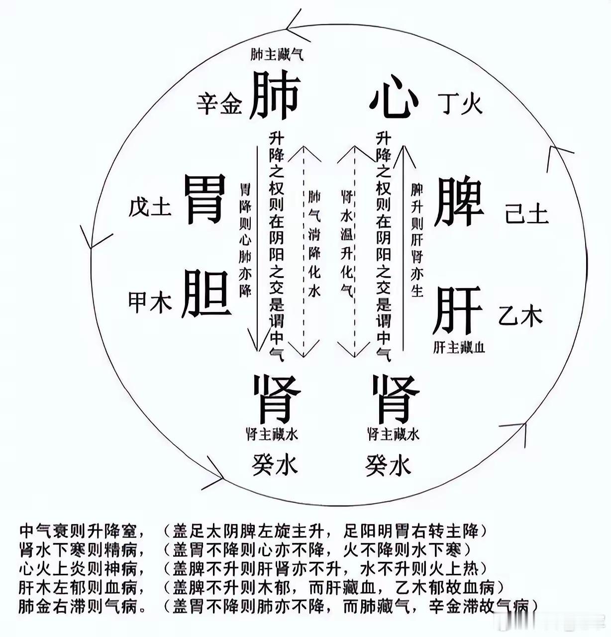 胃气如渊：三焦气化背后的生命原动力明末江南名医李中梓曾遇奇症：一商贾日食斗米仍形