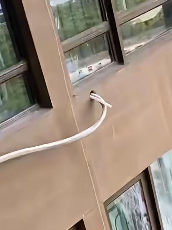 我准备跟邻居干架了！我居住的楼层是十六楼，楼上住户在十七楼。随着气温持续攀升，