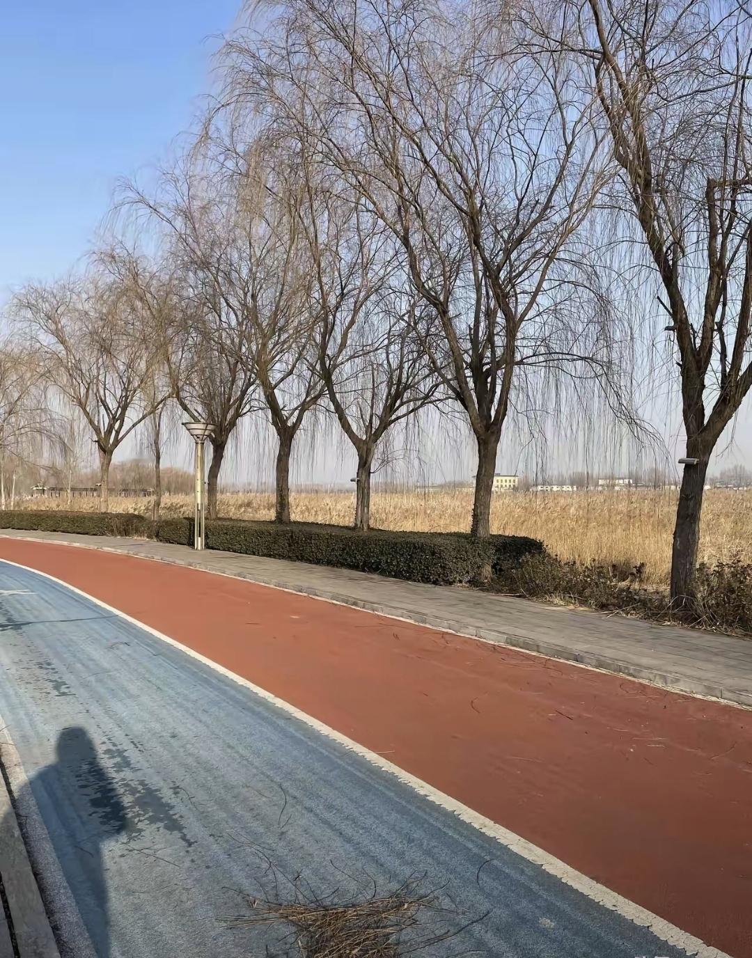 老人接陌生电话转走全部积蓄的事常上热搜。运营商明明能从源头拦截诈骗号码，却让老百