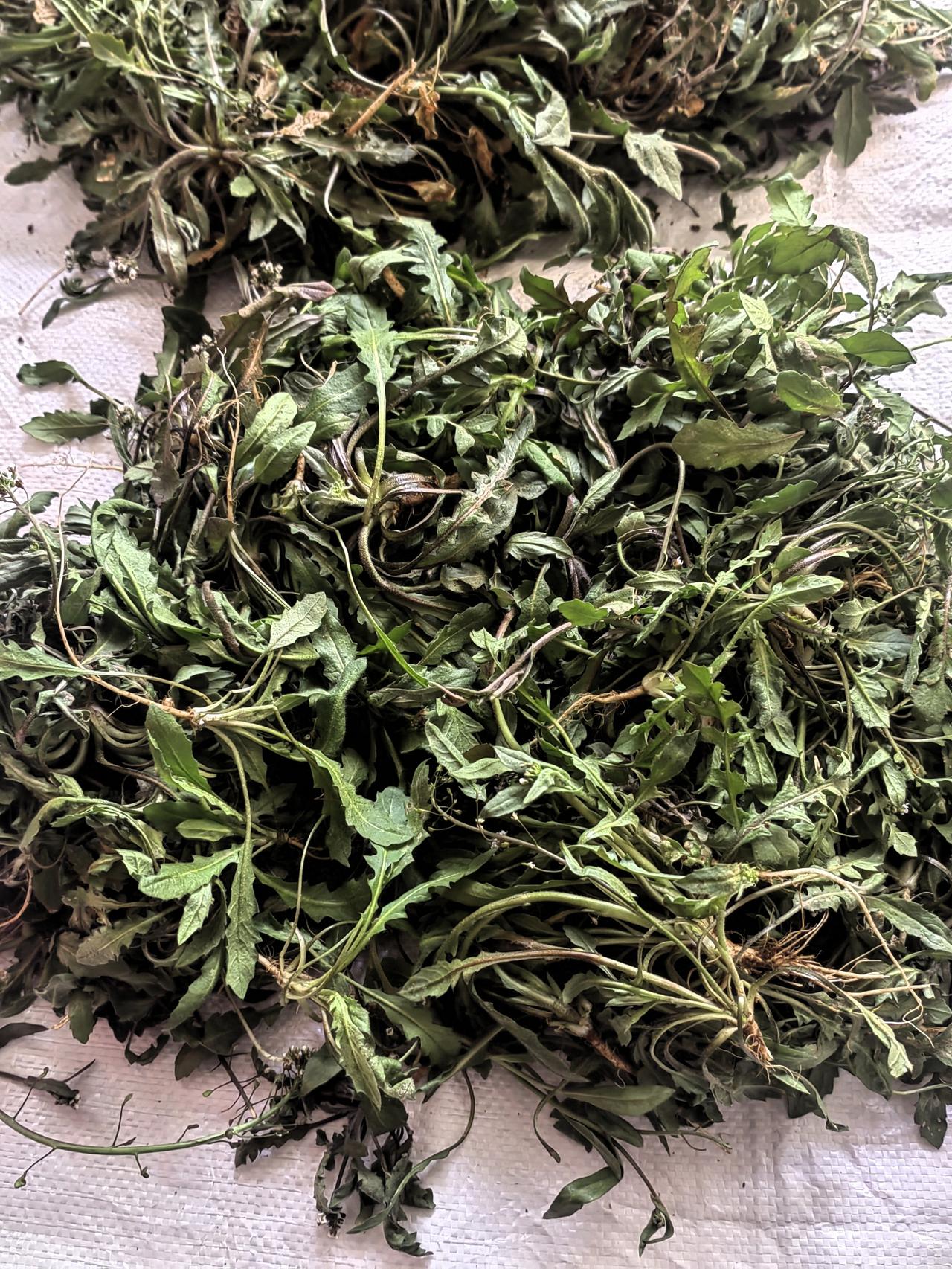 这个女神节，你怎么过的？昨天三八节，我们几个被老公漠视、被儿女忽视的姐妹，相约