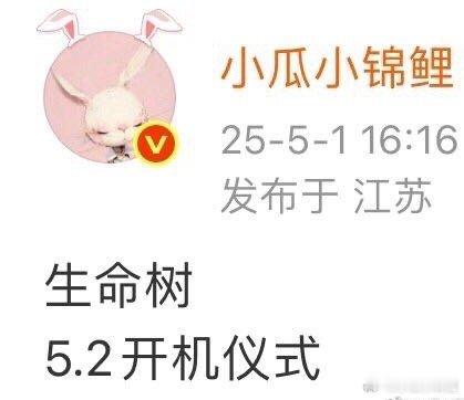 生命树正式开机一切顺利哦​​​