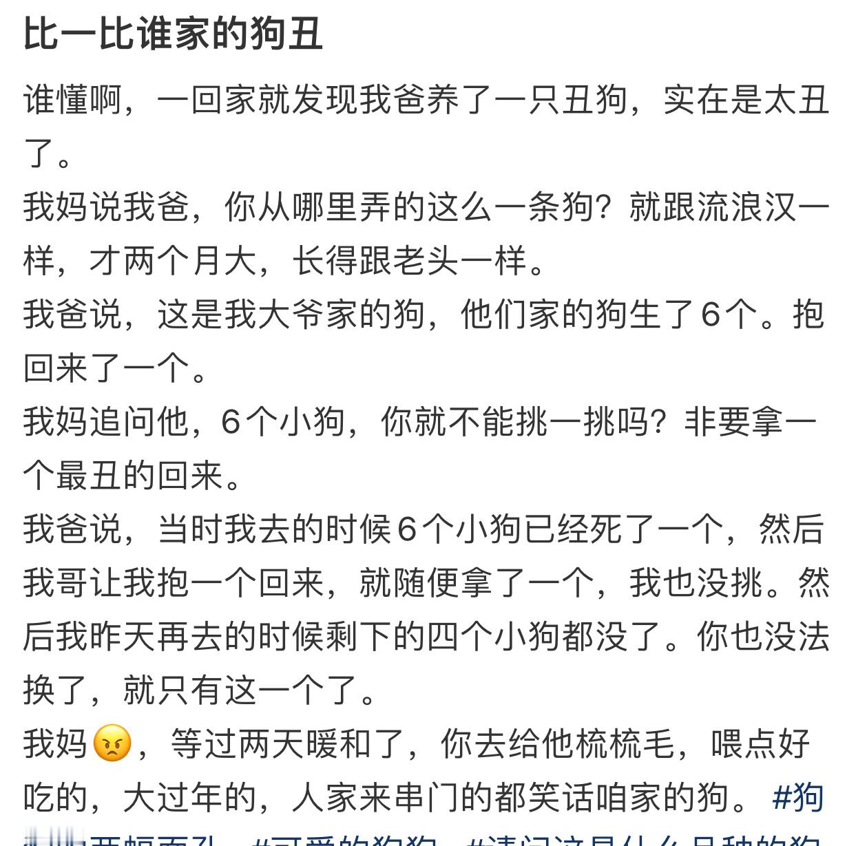 家里养了一只非常丑的狗是什么体验家里养了一只非常丑的狗是什么体验