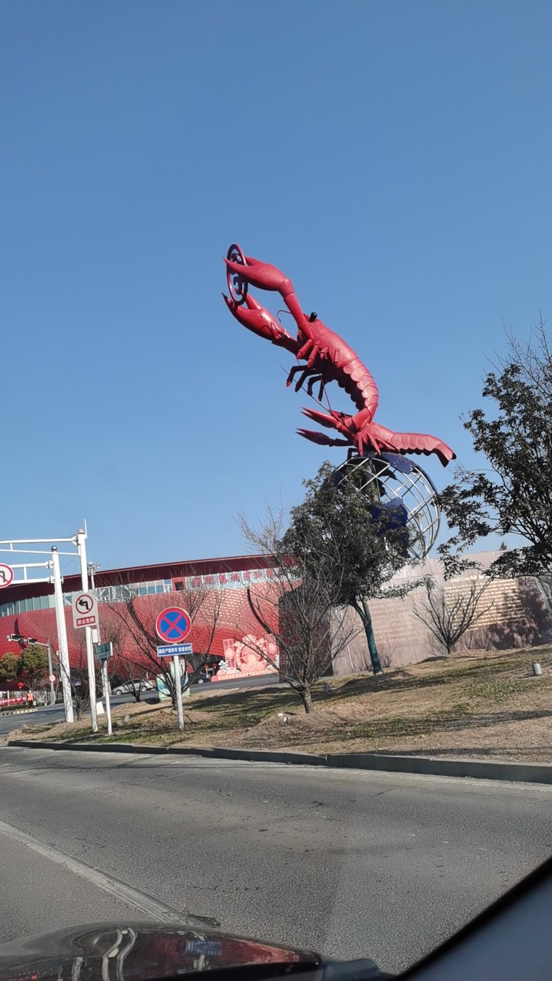 分享一张你拍的小狗照片