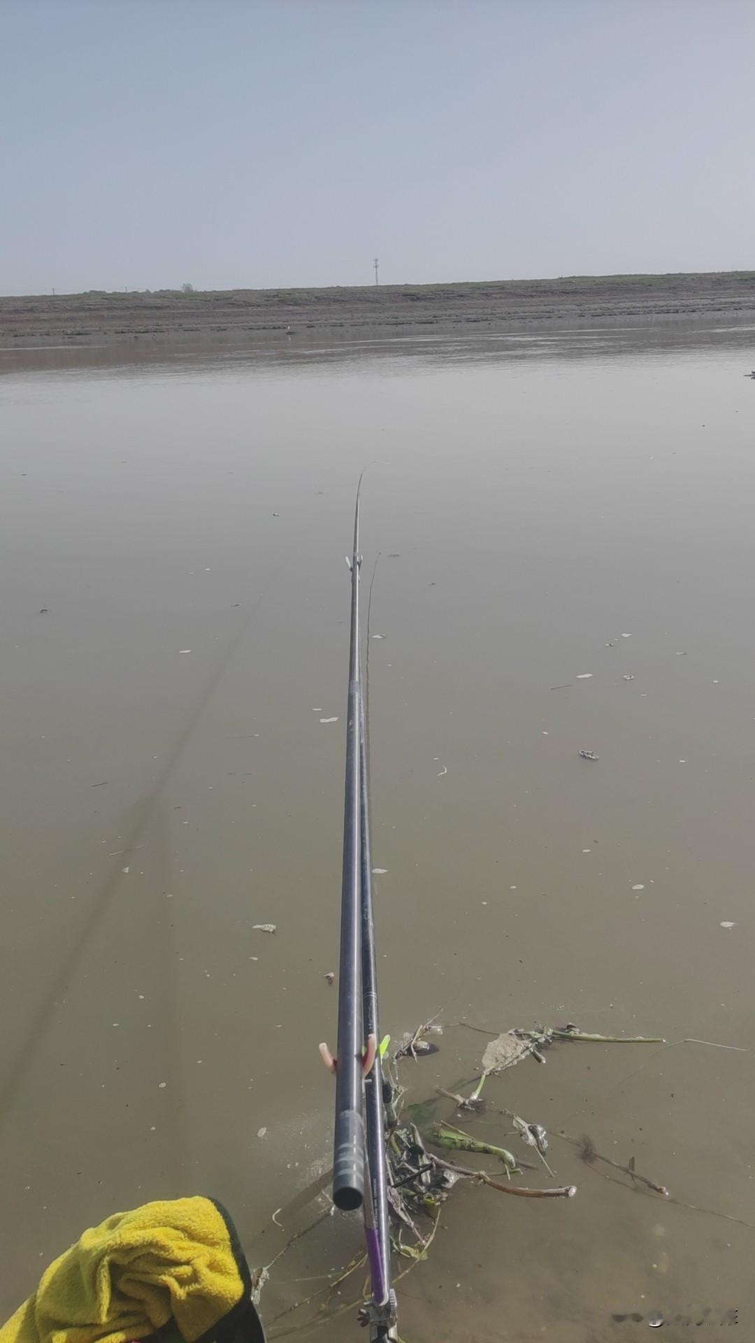 这个季节钓鱼，你是不是还在研究鱼在浅水还是深水。其实这个季节浅水深水都钓不到鱼