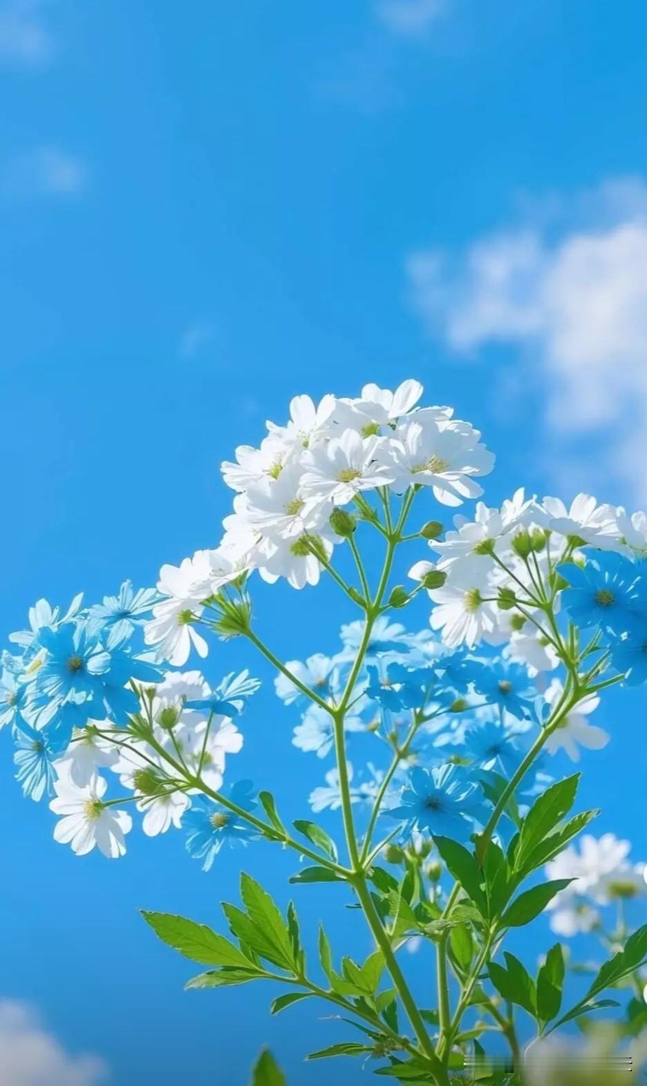 1、烟:花钱买病，既要钱又要你的命。2、酒:喝的时候开心，损害身体在时候没人能