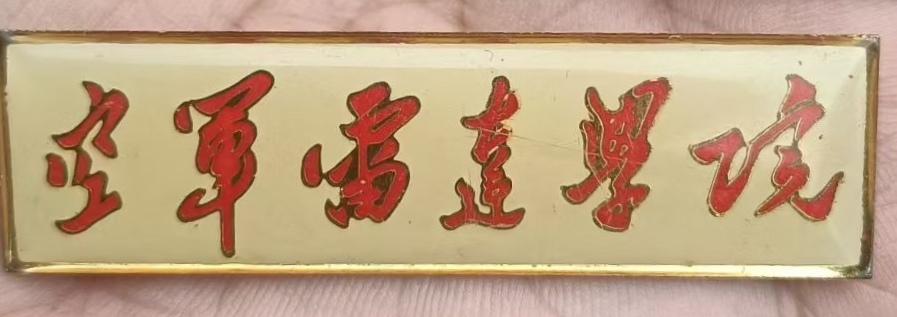 《空军雷达学院》校徽
