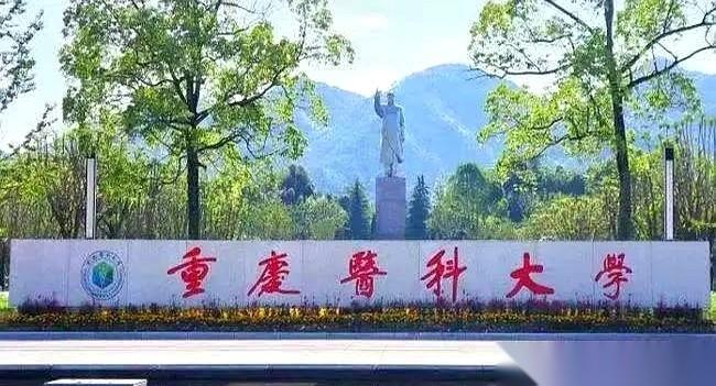 成绩出来了，398分！我看着侄儿查分的手都在抖。这个分，报考重医普外，稳了！全