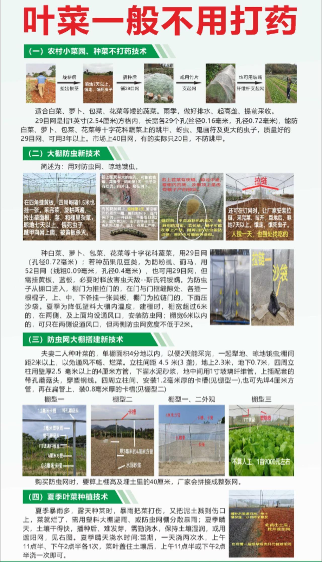 防虫技术蔬菜抖音助农