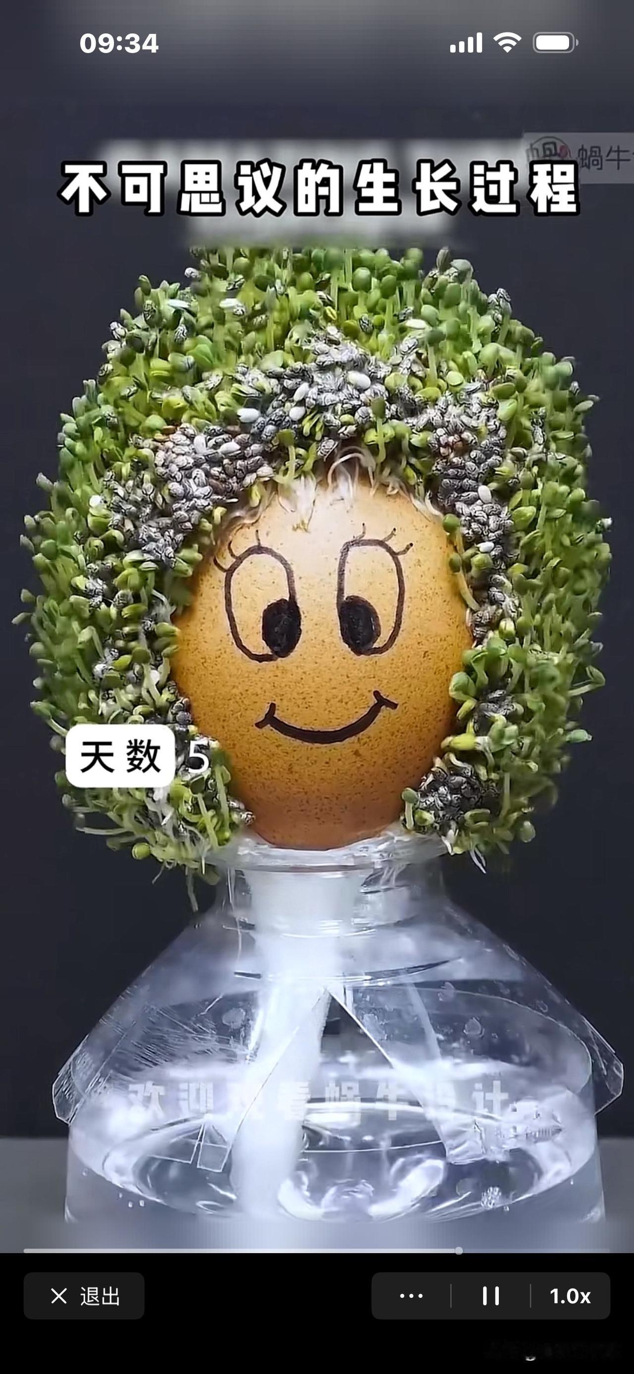 笑翻！刚看到一个种子生根发芽的视频，一网友神评论：把老婆埋进去，一年之后就得