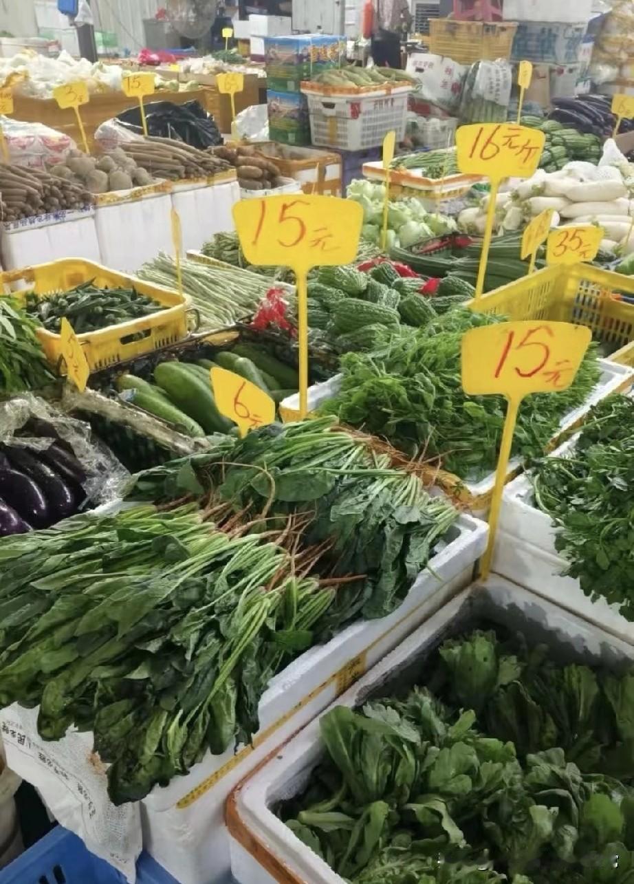 人在广州真是青菜都吃不起了!在广州逛个菜市场,差点被青菜价格惊掉下巴!菠菜