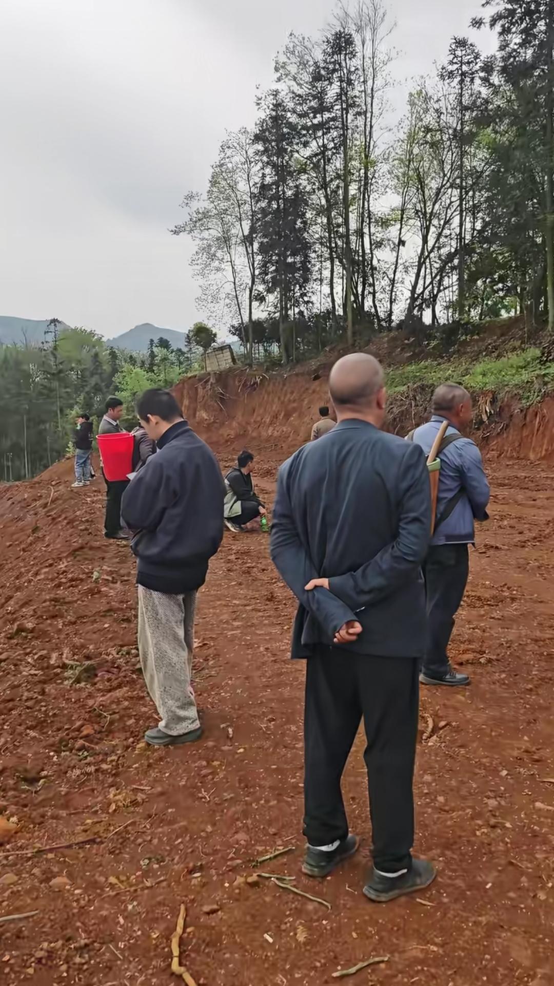 一大家子近二十个青壮年去扫墓祭祖，结果到了后发现老祖宗不见了，没有通知他们就乔迁