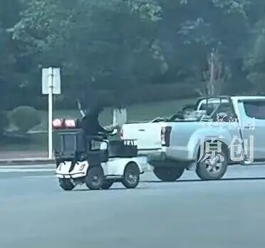 网友称看到拉布拉多开车上路? 狗主人: 系改装后的老年代步车, 当地交管局回应