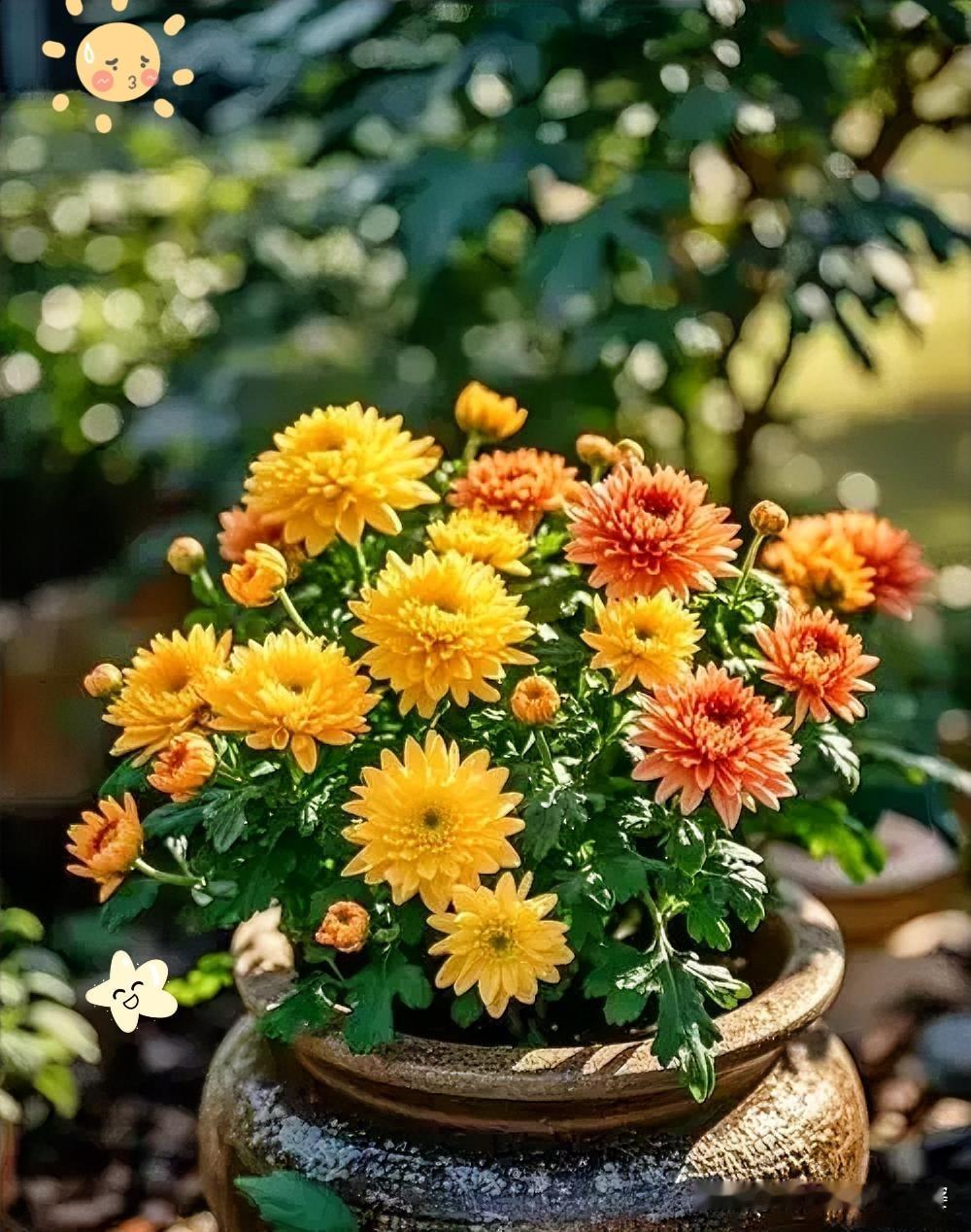 太神奇了！这事儿不用玄学真的很难解释！我家楼上96岁老中医，一辈子救