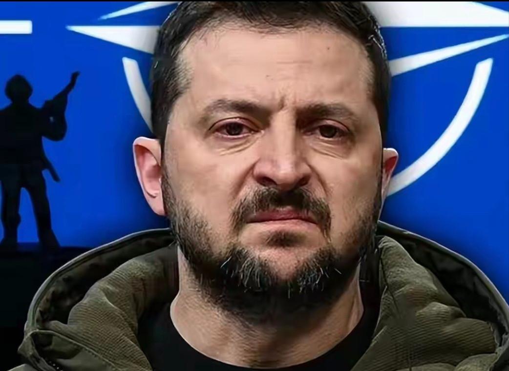 彻底搅黄了要么向欧洲宣战，要么退缩了，要么继续咬牙坚持，要么放弃这场不义之战。