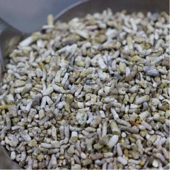 俗话说“一只麻雀等于四两人参”，但是其实麻雀的屎比肉还贵，甚至有人饲养麻雀不为卖