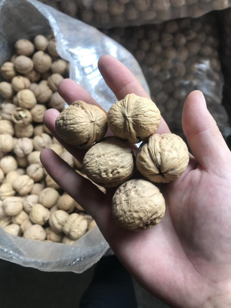 核桃到底能不能补脑，我来告诉你真相！“多吃核桃补补脑”，这句话是不是很耳熟？