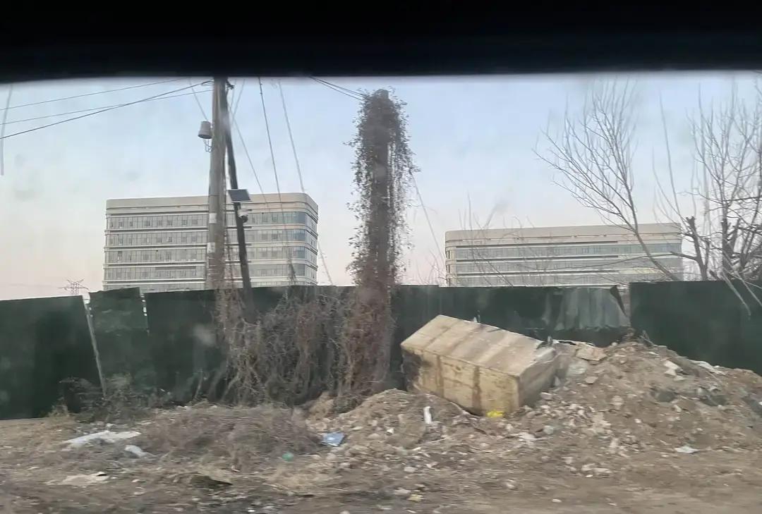 临沂疾控中心大楼白天灯全灭，门口保安比办事的人多。我上周去办健康证，绕了三圈才