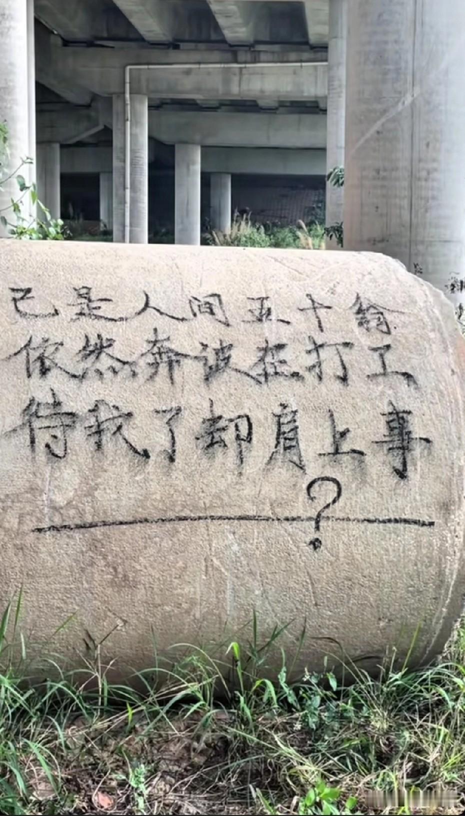 已是人间五十翁依然奔波在打工待我了却肩上事________________