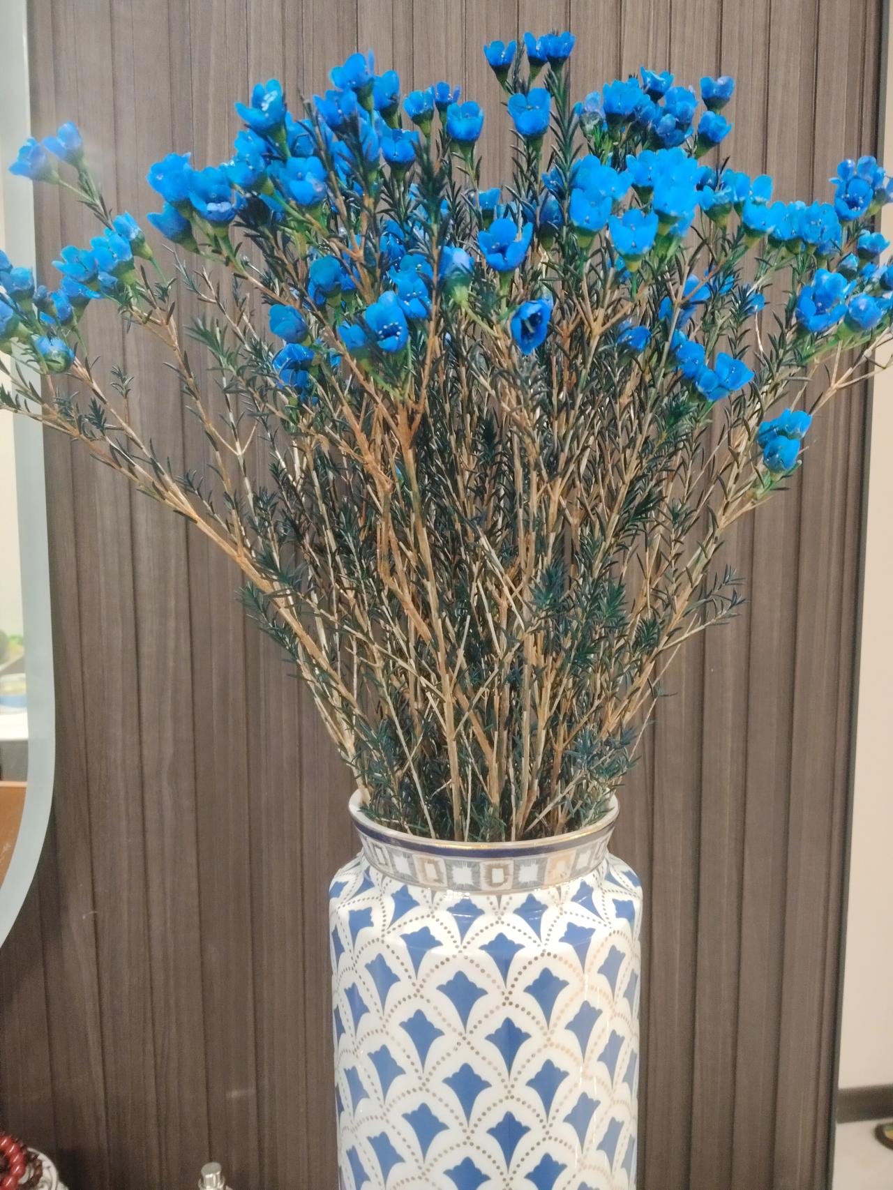 又是一年岁末年初，无论是正在苦读的学子，还是努力打拼的成人，抓住机遇，努力遇到