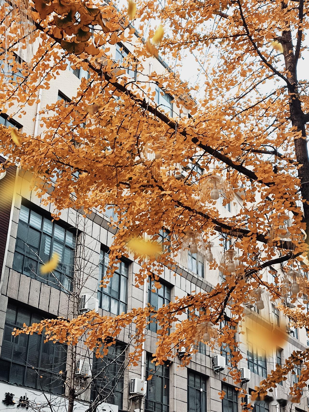 怎么样让自己保持快乐的心情想天天开心其实不难，别钻牛角尖，小事别较真，累了就歇会