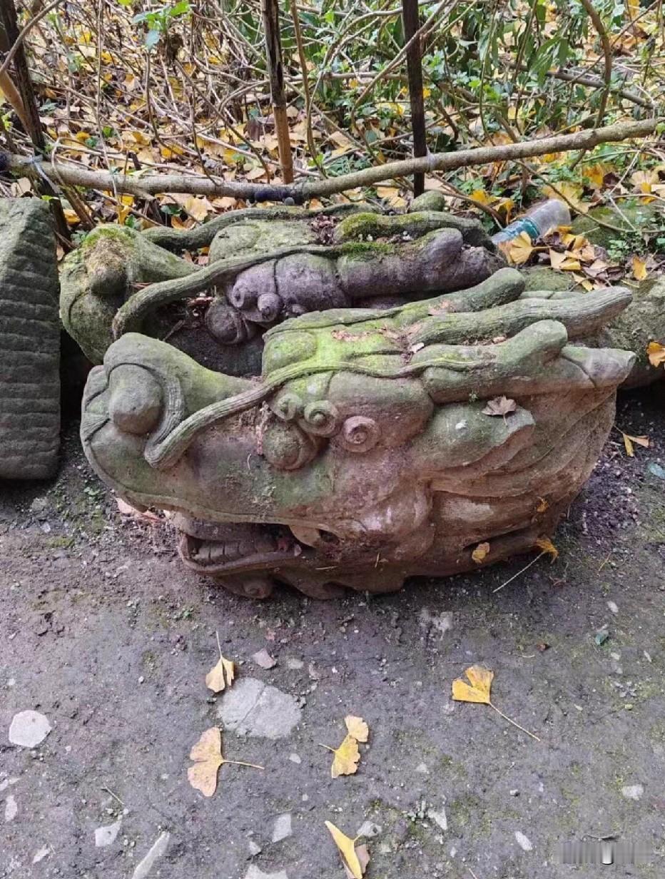 这会不会是文物